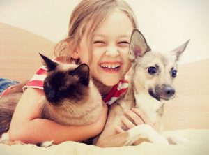 Snuggle Time. Top 20 best gift ideas for dogs and cats. 