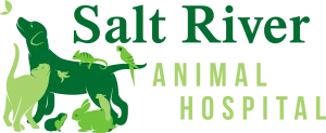 Salt River Animal Hospital