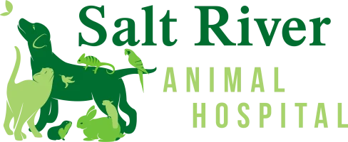 Salt River Animal Hospital