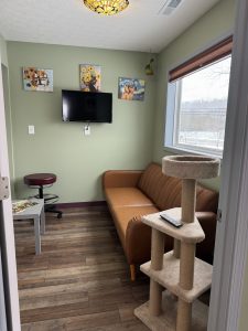 Comfy Exam Room