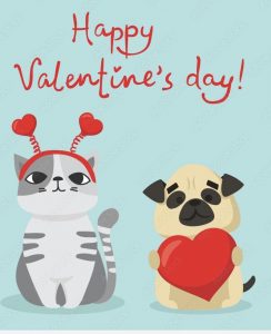 Happy Valentine's Day